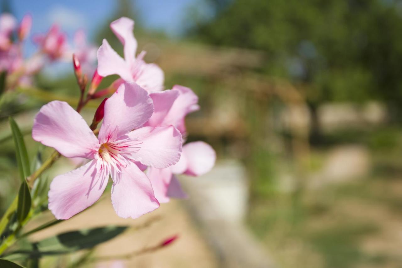 Las Mariposas San Antonio  Kültér fotó